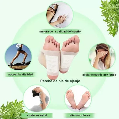 PARCHE KINOKI DESINTOXICANT CJA X10 UNDS