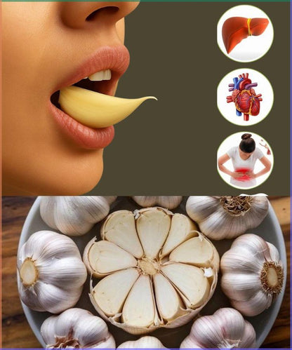 X1 ODORLESS AGED GARLIC EXTRACT -Doypack